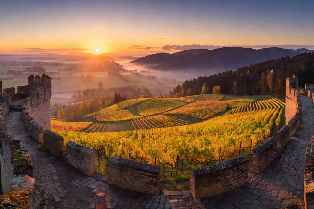 Vue panoramique sur les ruines d'un château alsacien depuis les crêtes vosgiennes